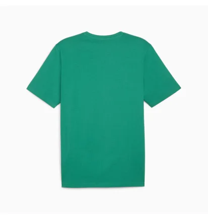 Футболка мужская Puma Teamrise Logo Trainingshirt F05 Green 658705-05