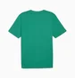 Футболка мужская Puma Teamrise Logo Trainingshirt F05 Green 658705-05