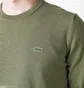Свитшот унисекс Lacoste Loose Fit Green SH2741BMY