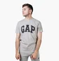 Футболка мужская Gap Everyday Soft Crewneck T-Shirt Grey 855769001