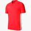Поло мужское Nike Dry Academy 19 Red Bq1496-671