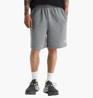 Шорты мужские The North Face Evolution Grey NF0A8CWWCQI