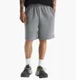 Шорты мужские The North Face Evolution Grey NF0A8CWWCQI