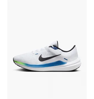 Кросівки чоловічі Nike Winflo 10 Road Running Shoes White DV4022-103