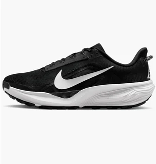 Кроссовки мужские Nike Acg Pegasus Trail Black HV8116-001