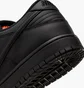 Кросівки чоловічі Nike Dunk Low Pro Sb Black FJ1674-001