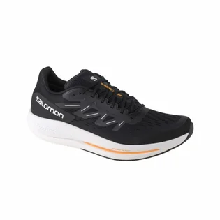Кроссовки мужские Salomon Spectur M Black 415896