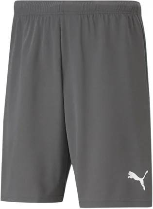 Шорты мужские Puma Shorts Teamrise Short Grey 704942-13