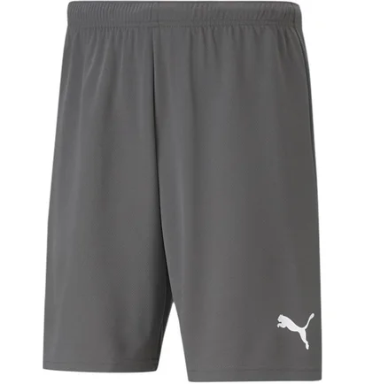Шорты мужские Puma Shorts Teamrise Short Grey 704942-13