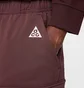 Штаны мужские Nike Acg Smith Summit Bordo FN0428-652