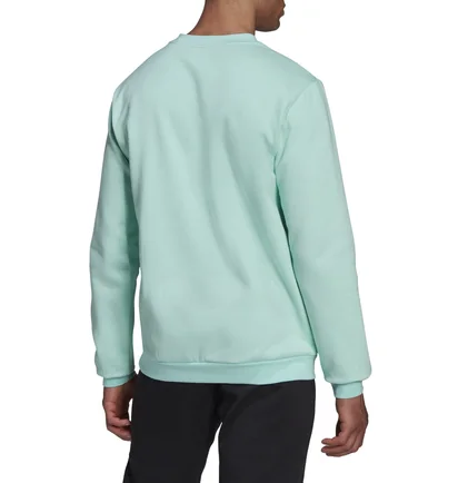 Свитшот мужской Adidas Sweatshirt Ent22 Sw Top Turquoise HC5047