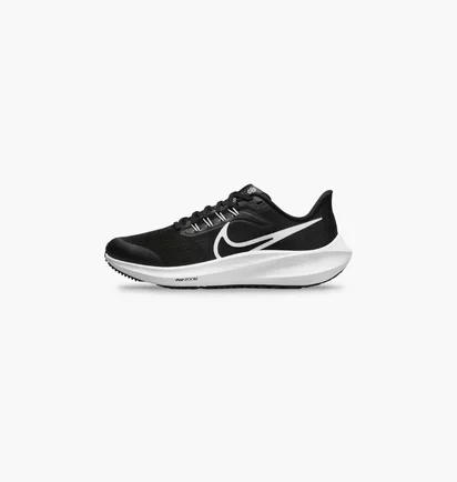 Кросівки дитячі Nike Air Zoom Pegasus 39 Black DM4015-001