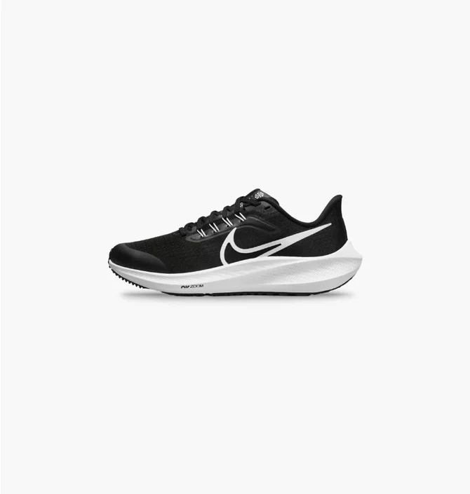 Кросівки дитячі Nike Air Zoom Pegasus 39 Black DM4015-001