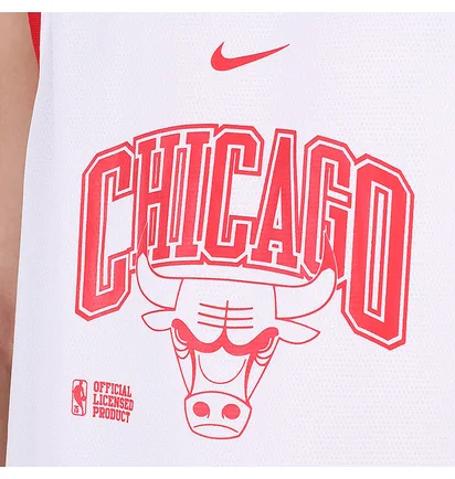 Майка мужская Nike Chicago Bulls White DB1270-100