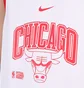 Майка мужская Nike Chicago Bulls White DB1270-100