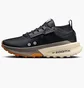 Кросівки жіночі Nike W Zoomx Zegama Trail 2 Black FD5191-004