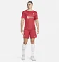 Футболка мужская Nike Fc Liverpool 2024/25 Stadium Home Dri-Fit Replika Red FN8798-688