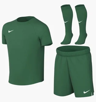Комплект: футболки, шорти, шкарпетки Nike Park Viii Green HV8260-302