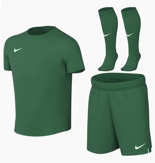 Комплект: футболки, шорти, шкарпетки Nike Park Viii Green HV8260-302