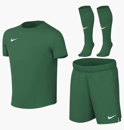 Комплект: футболки, шорти, шкарпетки Nike Park Viii Green HV8260-302