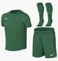 Комплект: футболки, шорти, шкарпетки Nike Park Viii Green HV8260-302