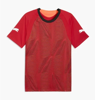 Футболка чоловіча Puma Individualfinal Jersey Red 660424-01