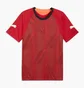 Футболка чоловіча Puma Individualfinal Jersey Red 660424-01