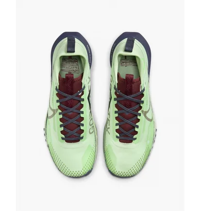 Кроссовки мужские Nike Pegasus Trail 4 Gore-Tex Green DJ7926-303