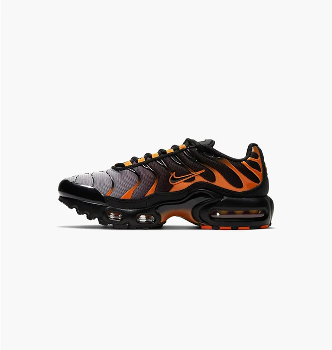 Кроссовки детские Nike Air Max Plus Black DJ4619-001