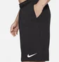 Шорти чоловічі Nike Dri-Fit Black DA5556-010
