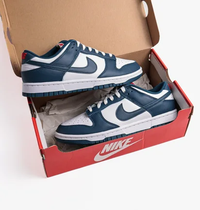 Кроссовки мужские Nike Dunk Low Retro Valerian Blue Dd1391-400