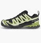 Кроссовки мужские Salomon Xa Pro 3D V9 Gtx Black L47741900