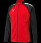 Олимпийка мужская Puma Teamliga Training Jacket Red/Black 657234-01