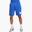 Шорти чоловічі Nike Sportswear Club Graphic Shorts Blue BV2721-480