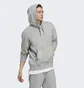 Худи мужское Adidas All Szn French Terry Hoodie Grey Ic9759