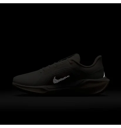Кросівки жіночі Nike W Pegasus 41 Gore Tex Beige FQ1357-100