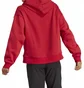 Худі жіноче Adidas Hooded Sweatshirt Tiro 23 C Co Hdw Red IC4615