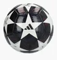 Футбольний м'яч Adidas Ucl Club Black/White JX9091