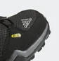 Ботинки детские Adidas Terrex Mid Gore-Tex Black BB1952