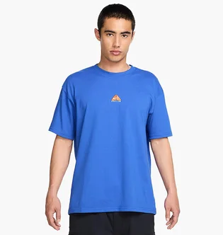 Футболка мужская Nike Acg Tee Logo Blue DQ1815-480