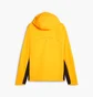 Ветровка мужская Puma Run Rain Jacket Orange 525799-38