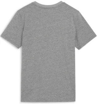 Футболка детская Puma Teamgoal Casuals Grey 658616-33