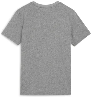 Футболка детская Puma Teamgoal Casuals Grey 658616-33