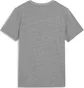 Футболка детская Puma Teamgoal Casuals Grey 658616-33