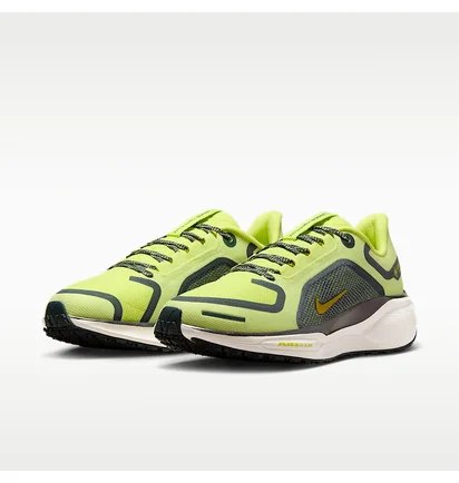 Кросівки жіночі Nike Pegasus 41 Gore Tex Green FQ1357-300