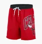 Шорты мужские Nike Chicago Red DB1945-657