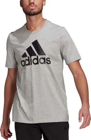 Футболка чоловіча Adidas T-Shirt Sportswear M Bl Sj T Grey GK9123