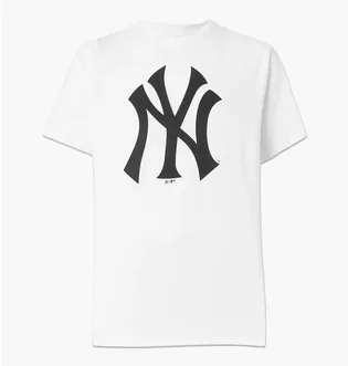 Футболка мужская 47 Brand Echo Tee Neyyan White 544103WW-FS