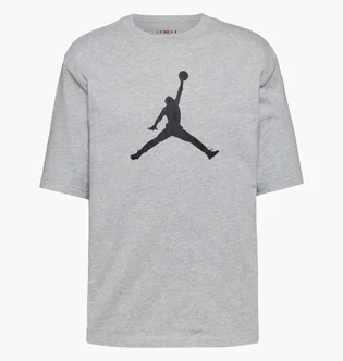 Футболка мужская Air Jordan Jumpman Ss Hbr 2 Grey IR0340-050