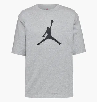 Футболка мужская Air Jordan Jumpman Ss Hbr 2 Grey IR0340-050